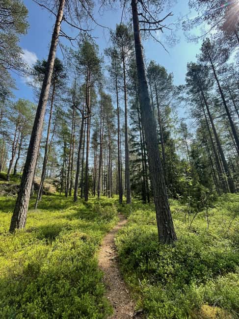 Helsinki: Nuuksio National park hiking with campfire lunch - Who should book this Nuuksio tour?