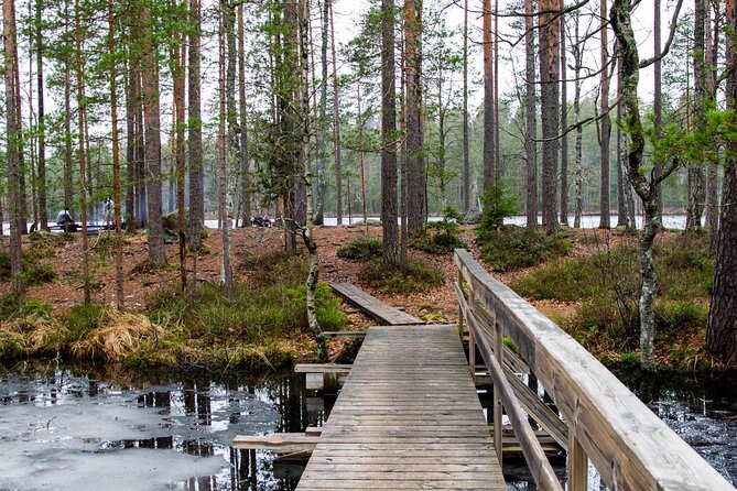 Helsinki: Nuuksio National park hiking with campfire lunch - Lakes, rock, and the Finnish forest story