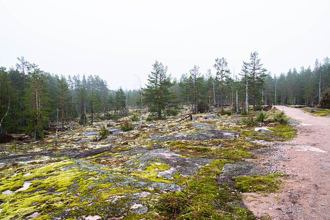Helsinki: Nuuksio National park hiking with campfire lunch - Campfire food with homemade berry juice