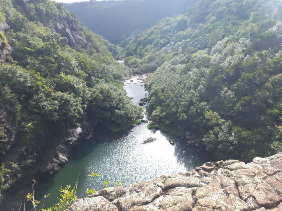 Henrietta: Hiking at the Tamarind Waterfalls - From your hotel to Henrietta’s sugarcane fields