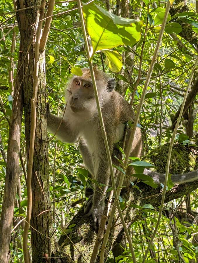 Henrietta: Hiking at the Tamarind Waterfalls - What to pack for Tamarind Falls