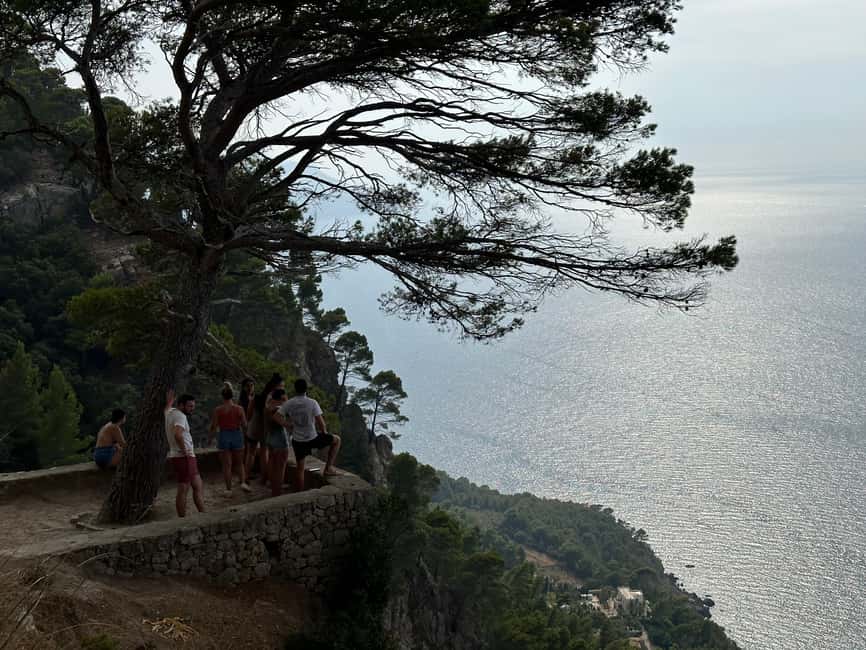 Hidden Coves, Hiking & Snorkeling Adventure in Mallorca - The final viewpoint is a strong finish