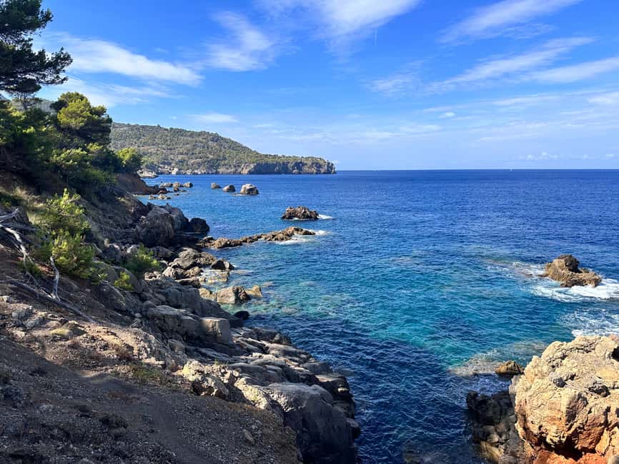 Hidden Coves, Hiking & Snorkeling Adventure in Mallorca - What Alex adds to the experience