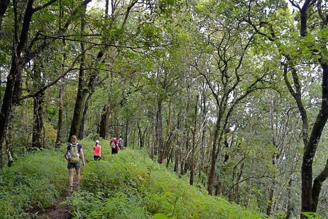 High Mountain Day Trek - Key points to know before you book