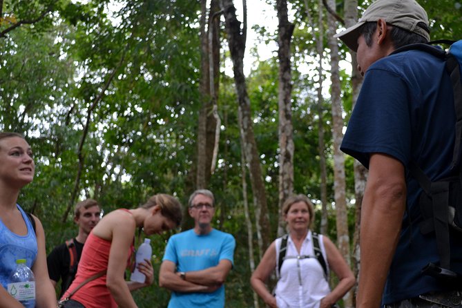 High Mountain Day Trek - From Chiang Mai to the high mountain trails