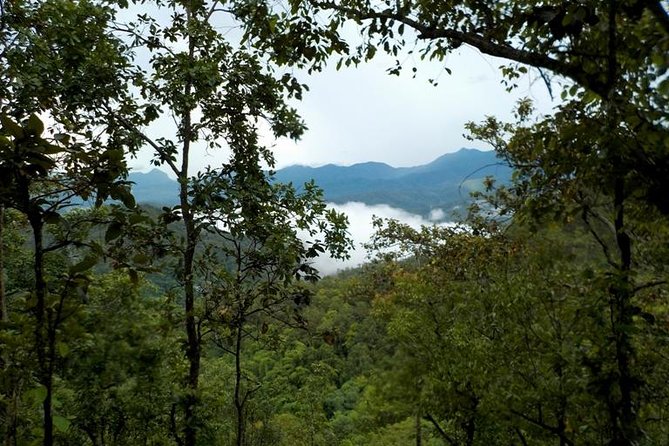 High Mountain Day Trek - The mountain village and local tea stop