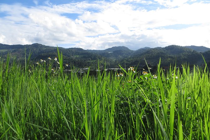 High Mountain Day Trek - Fresh Thai food at a rustic homestay