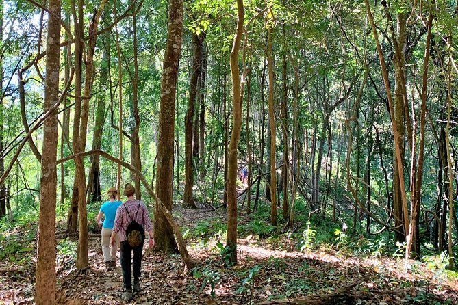 High Mountain Day Trek - Group size, pace, and the real timetable
