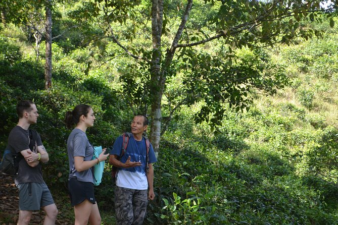 High Mountain Day Trek - What to bring and how to judge your fitness