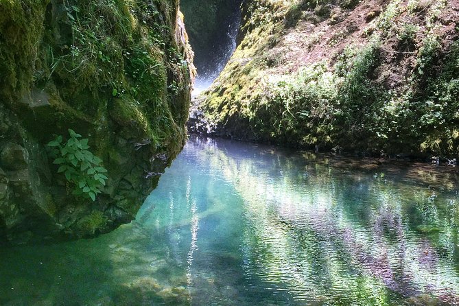 Hike and Bike Tour to Columbia River Gorge Waterfalls - Starting at the Southeast Main Street shop
