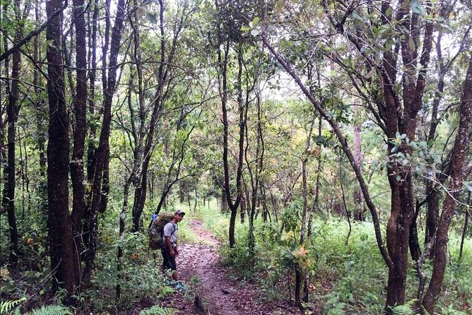 Hike and Kayak with exploring Tuyen Lam Lake in Da Lat - Swimming, birds, and the slower part of the day