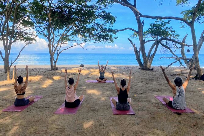 Hike and Yoga Jungle Experience in Mexico - Why this Sayulita morning works so well