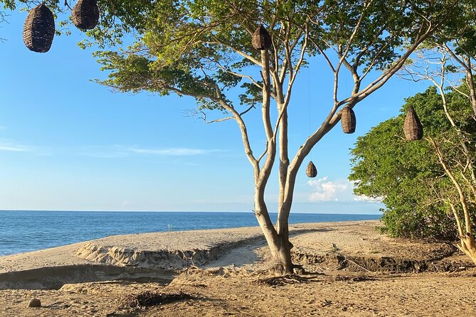 Hike and Yoga Jungle Experience in Mexico - Should you book this hike and yoga experience?