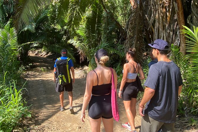 Hike and Yoga Jungle Experience in Mexico - The 45-minute jungle walk to the coast
