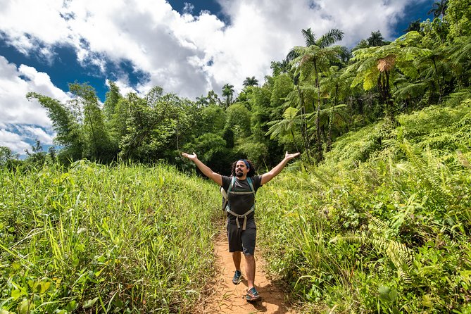 Hike El Yunque Rainforest and Kayak Bio Bay Combo Tour - Kayaking through mangroves to Laguna Grande