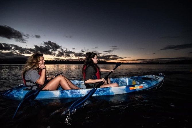 Hike El Yunque Rainforest and Kayak Bio Bay Combo Tour - How the $172 price measures up