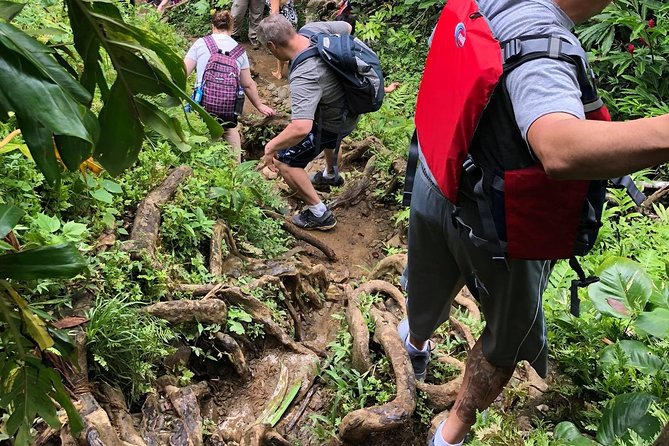 Hike El Yunque Rainforest and Kayak Bio Bay Combo Tour - Who should book this Puerto Rico adventure?