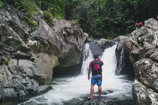 Hike El Yunque Rainforest and Kayak Bio Bay Combo Tour - What the El Yunque route feels like in practice