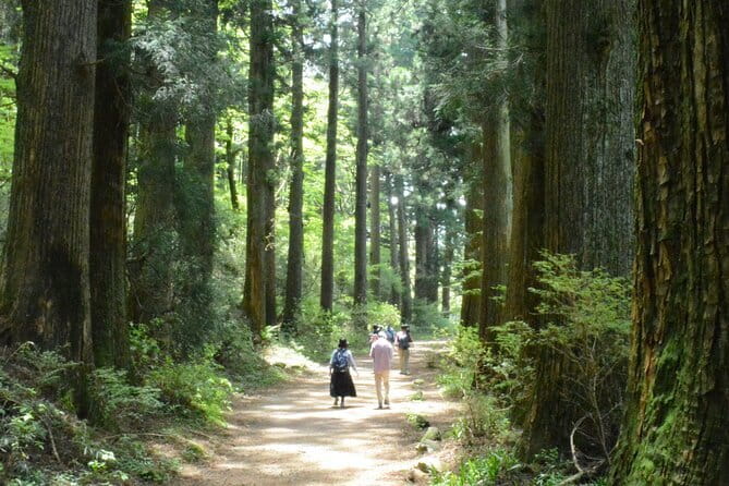 Hike Hakone Hachiri - Lake Ashi, red torii, and a practical lunch break