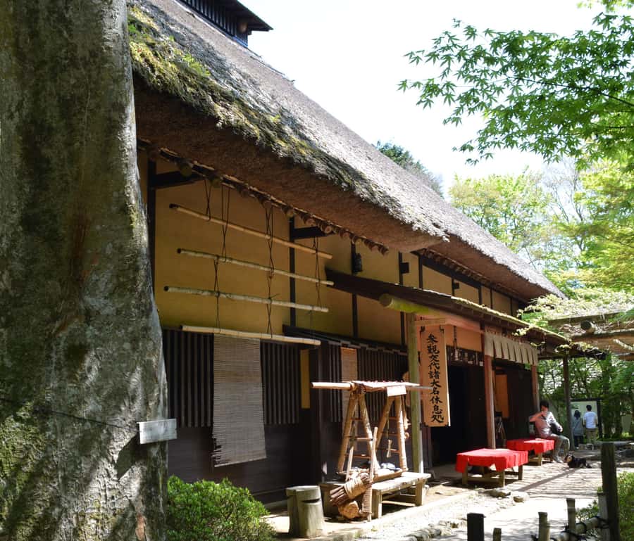 Hike Hakone Hachiri Japan Heritage Area - Is $451 good value for up to six people?