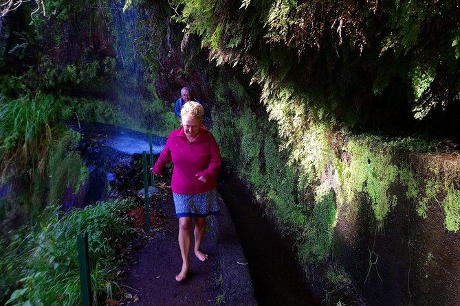 Hike in Laurisilva Levada do Rei - Madre of Life small Group guided walk - Key points to know before booking