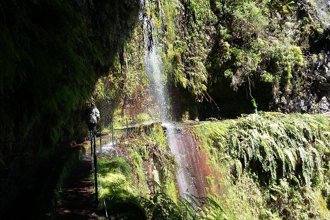 Hike in Laurisilva Levada do Rei - Madre of Life small Group guided walk - Why Levada do Rei is a good choice for a Madeira walking day