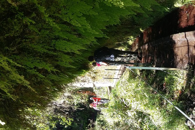 Hike in Laurisilva Levada do Rei - Madre of Life small Group guided walk - Small-group guiding, limited to eight walkers