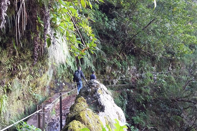 Hike in Laurisilva Levada do Rei - Madre of Life small Group guided walk - The value of the $60.08 price