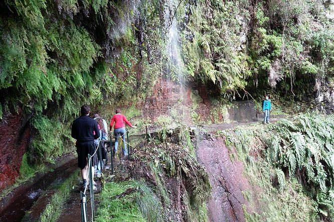 Hike in Laurisilva Levada do Rei - Madre of Life small Group guided walk - Who will enjoy this Madeira excursion most