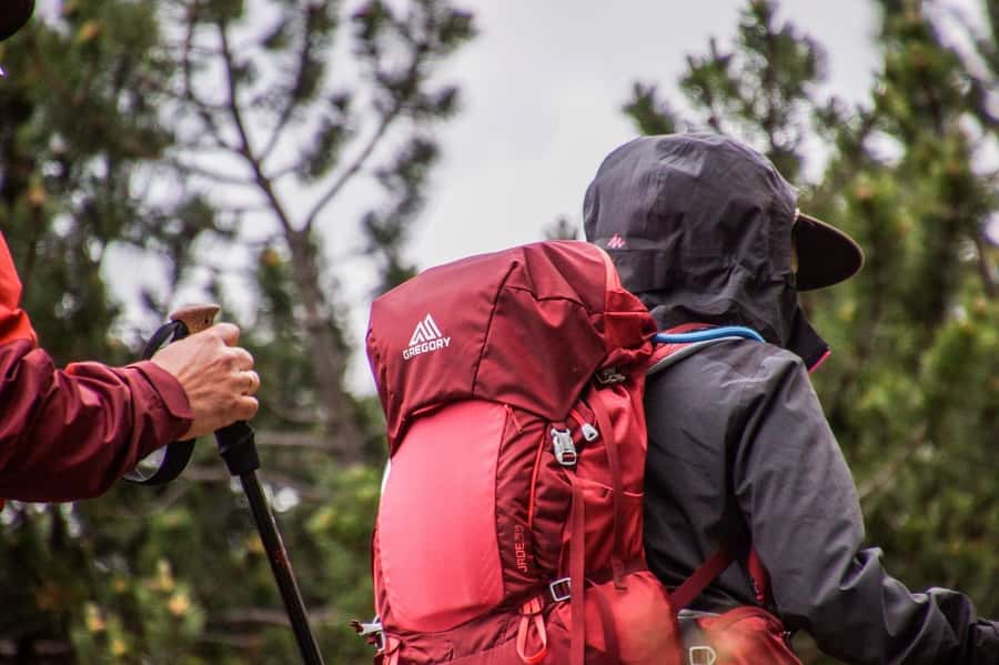 Hike in The Karura Forest - Why Karura Forest makes a good Nairobi outing