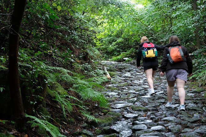 Hike Japan Heritage Hakone Hachiri (Half Day) - Reaching Lake Ashi and the Hakone Checkpoint