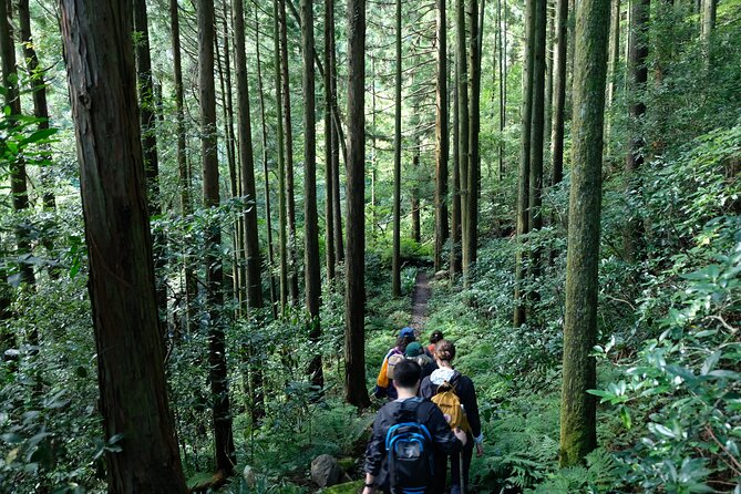 Hike Japan Heritage Hakone Hachiri (Half Day) - Who will enjoy this half-day hike