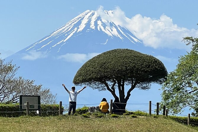 Hike Japan Heritage Hakone Hachiri with certified mountain guide - Key points to know before booking