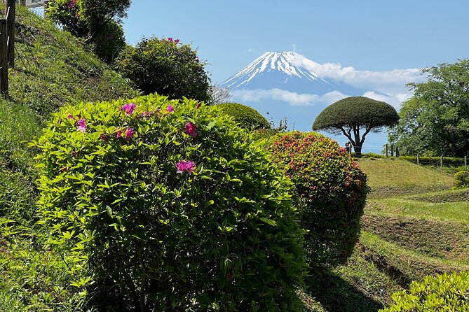 Hike Japan Heritage Hakone Hachiri with certified mountain guide - Bus transfer and the Shizuoka side of Hachiri