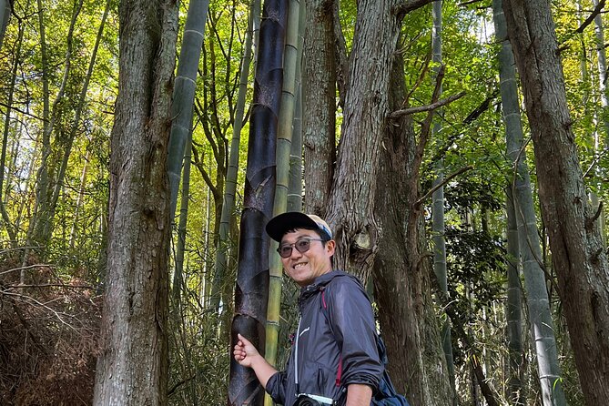 Hike Japan Heritage Hakone Hachiri with certified mountain guide - Yamanaka Castle Ruins and possible Fuji views