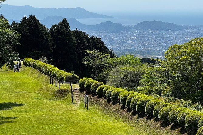 Hike Japan Heritage Hakone Hachiri with certified mountain guide - Finishing in Mishima at the shrine and river