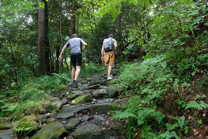 Hike Japan Heritage Hakone Hachiri with certified mountain guide - What the $158.52 price really covers