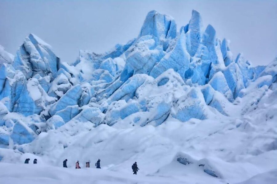 Hike Matanuska Glacier w/Alaska Honey, Wine Tasting - Booking details to keep in mind