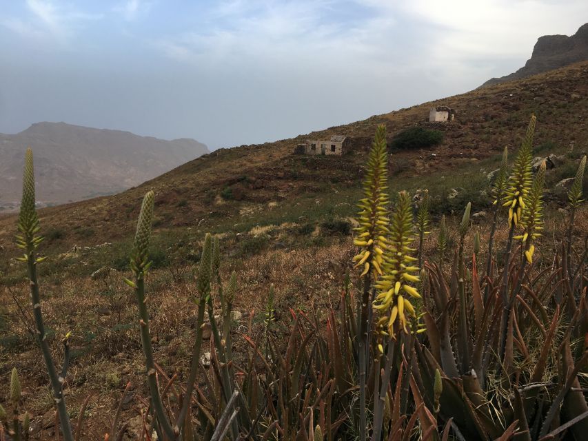 Hike Monte Verde - The upper approach and the change from trail to road