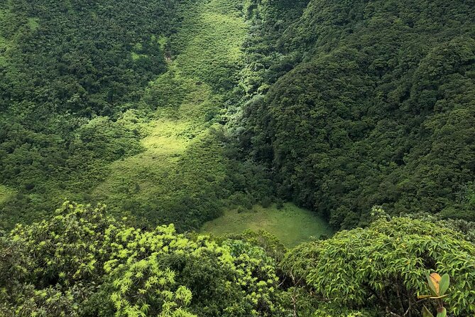 Hike St. Kitts: Highest peak Mount Liamuiga Volcano - Reaching the Crater Rim at 3,100 Feet