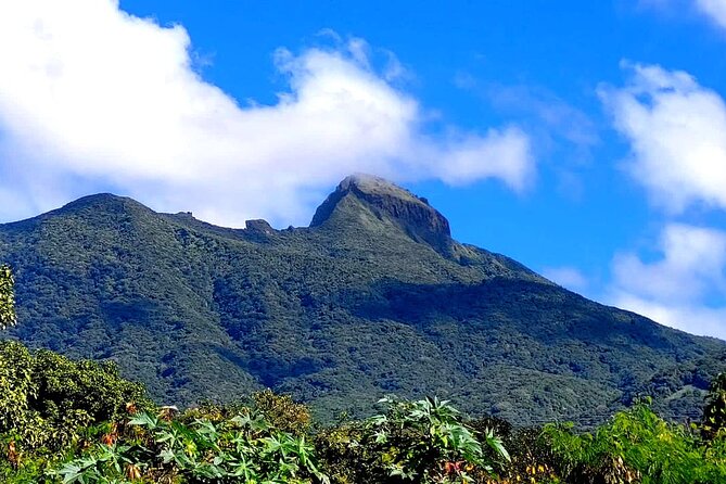Hike St. Kitts: Highest peak Mount Liamuiga Volcano - The Descent Is Its Own Challenge