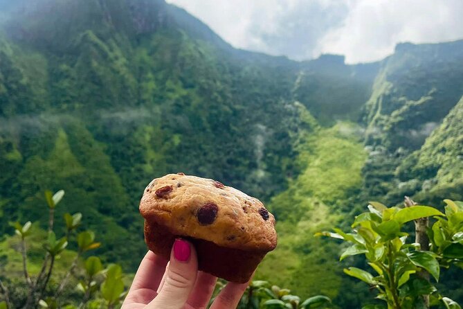 Hike St. Kitts: Highest peak Mount Liamuiga Volcano - What the $109.99 Price Really Covers