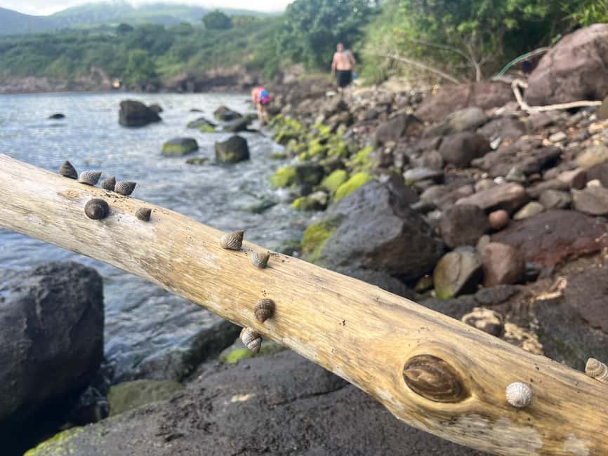 Hike St. Kitts: Sea Glass Discovery at Volcanic Beach - Sea Glass, Pirate Glass, and the Fun of the Search