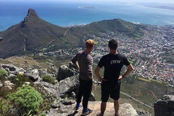 Hike Table Mountain or Lions Head in Cape Town Like a Local - How much value do you get for $22.95?