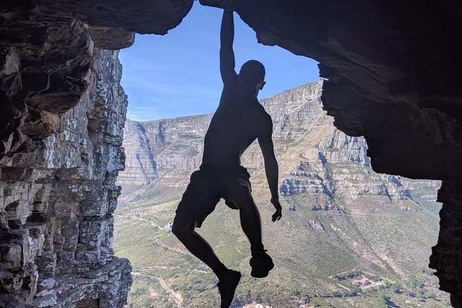 Hike Table Mountain or Lions Head in Cape Town Like a Local - Lions Head, the more adventurous choice