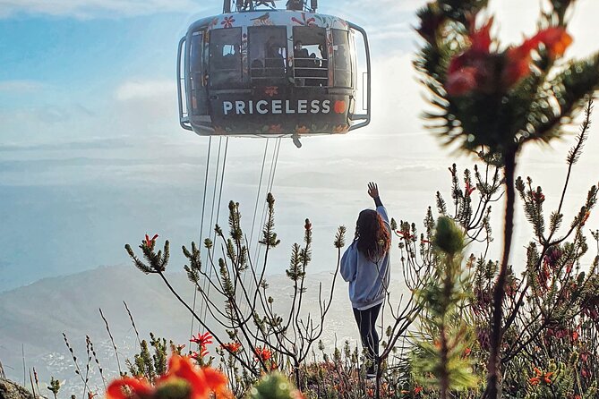 Hike Table Mountain with a Guide - Choose Route - Why Platteklip Gorge may be the smarter choice