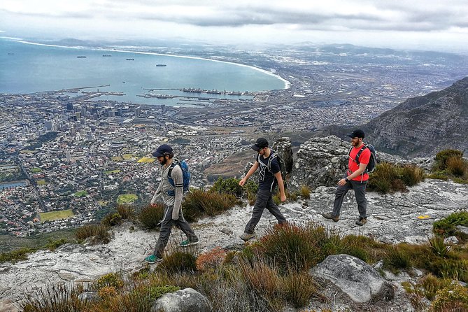 Hike Table Mountain with a Guide - Choose Route - A guide adds more than route directions