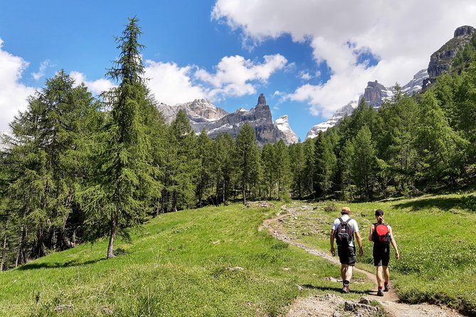 Hike the Dolomites One Day Private Excursion from Bolzano - What the walking is really like
