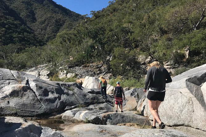Hike the native Pericu road in Sierra de la Laguna. - Key points to know before you book
