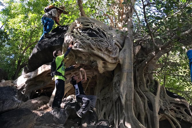 Hike the native Pericu road in Sierra de la Laguna. - A ranch meal that connects the hike to local life
